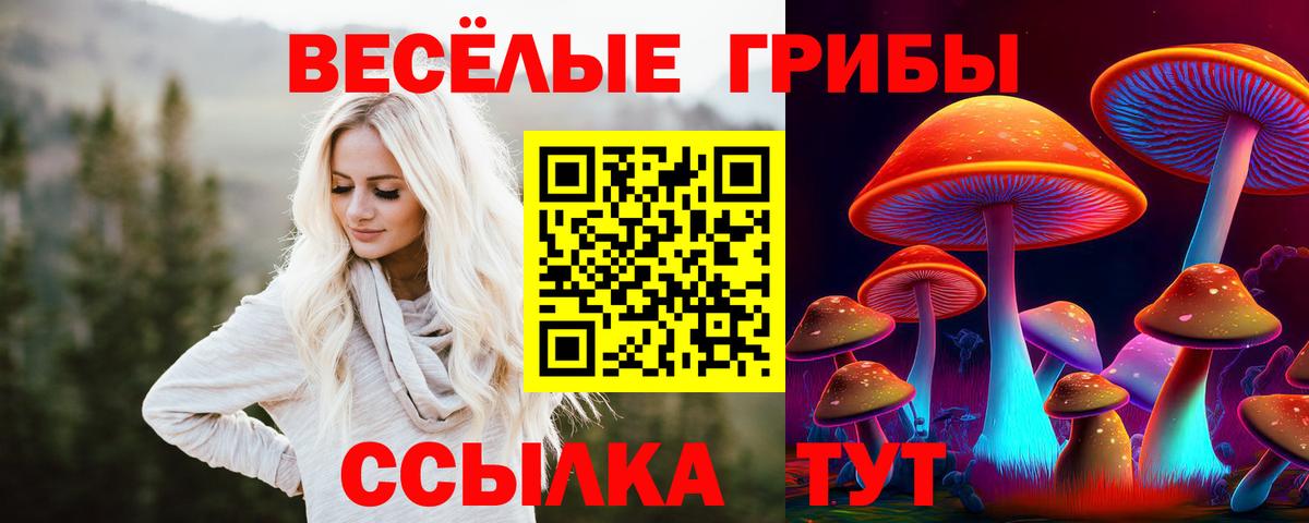 Галлюциногенные грибы Cubensis Кувандык